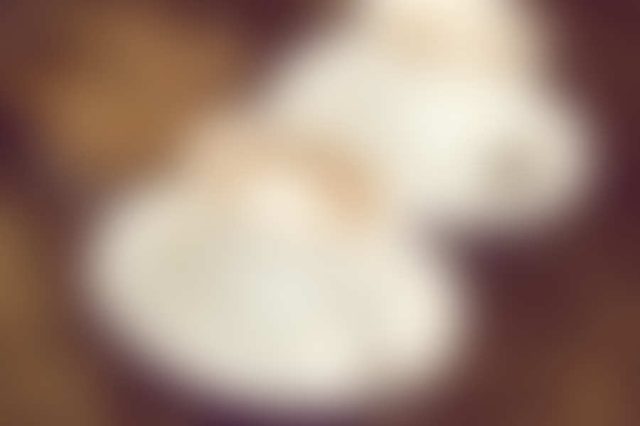 Latte Macchiato – $1.30